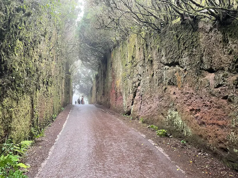 Camino viejo al Pico del Inglès