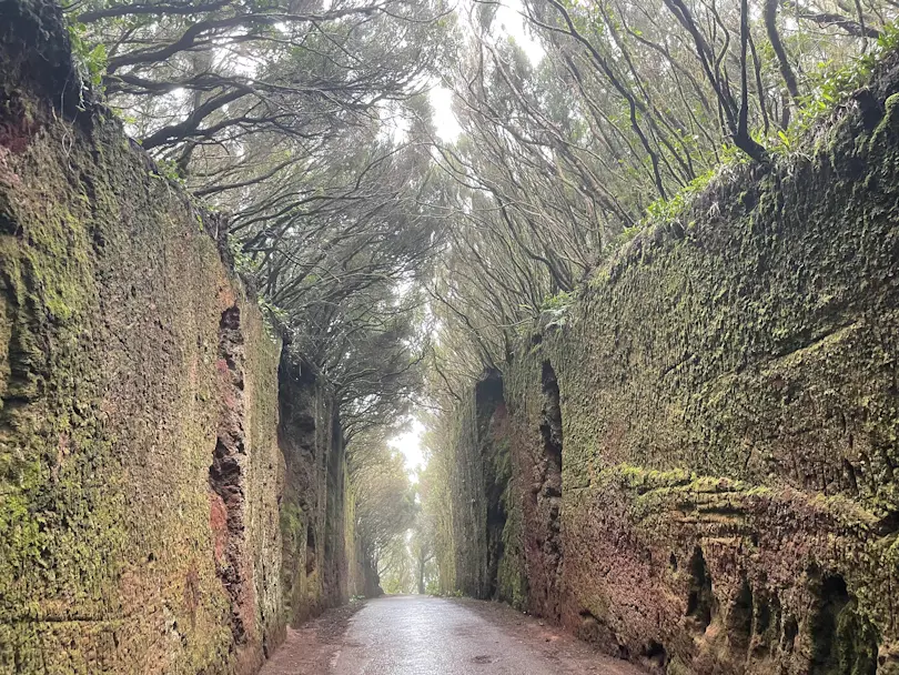 Camino viejo al Pico del Inglès