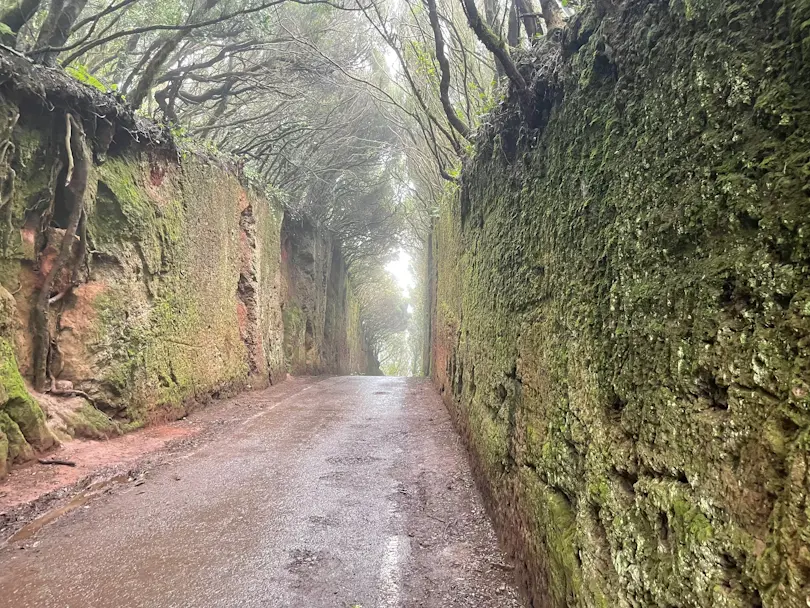 Camino viejo al Pico del Inglès