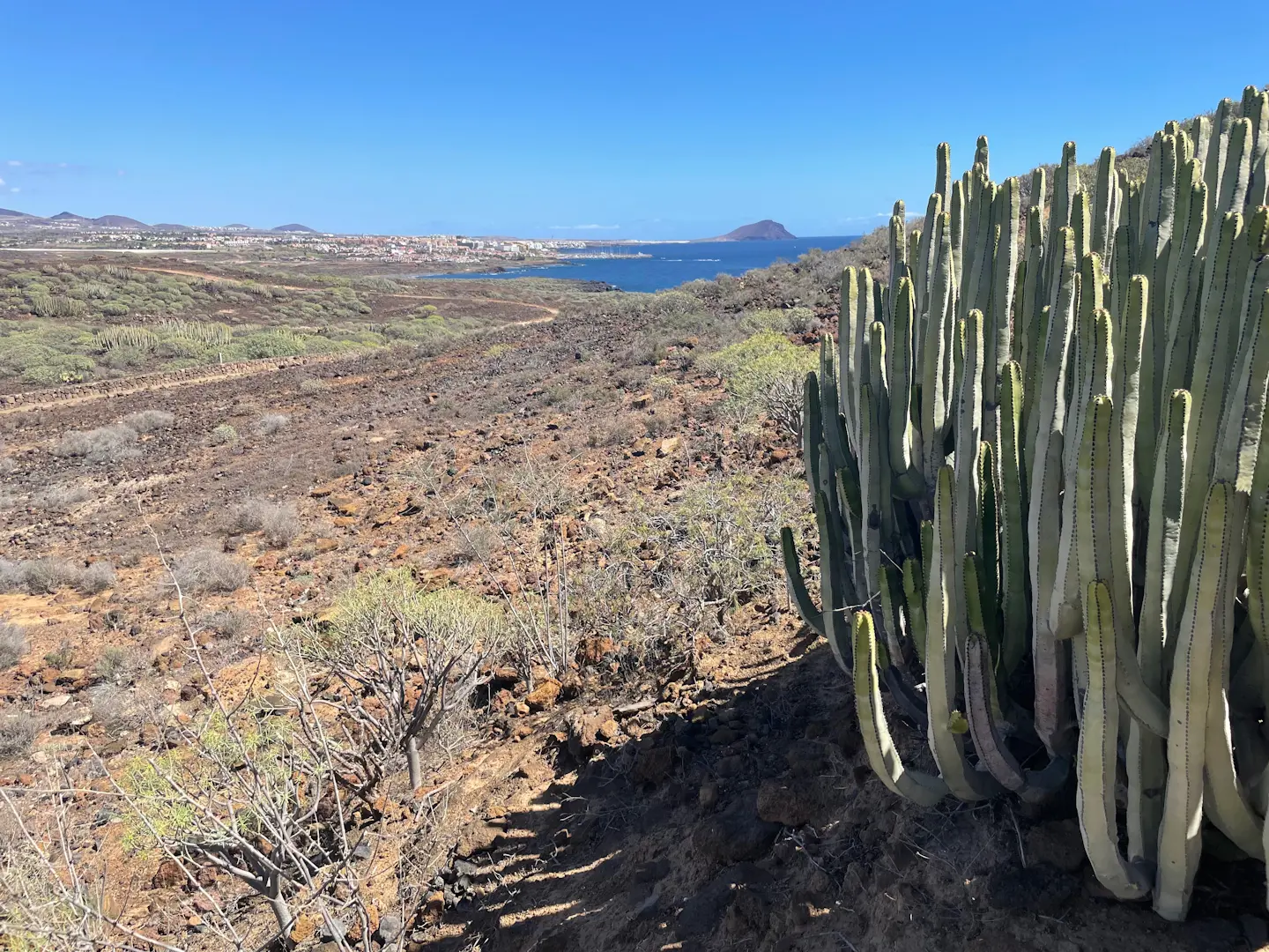 Costa del Silencio - Golf del Sur - Los Abrigos