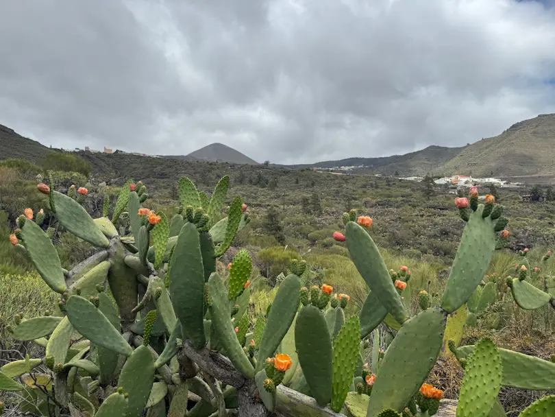 Montaña Bilma