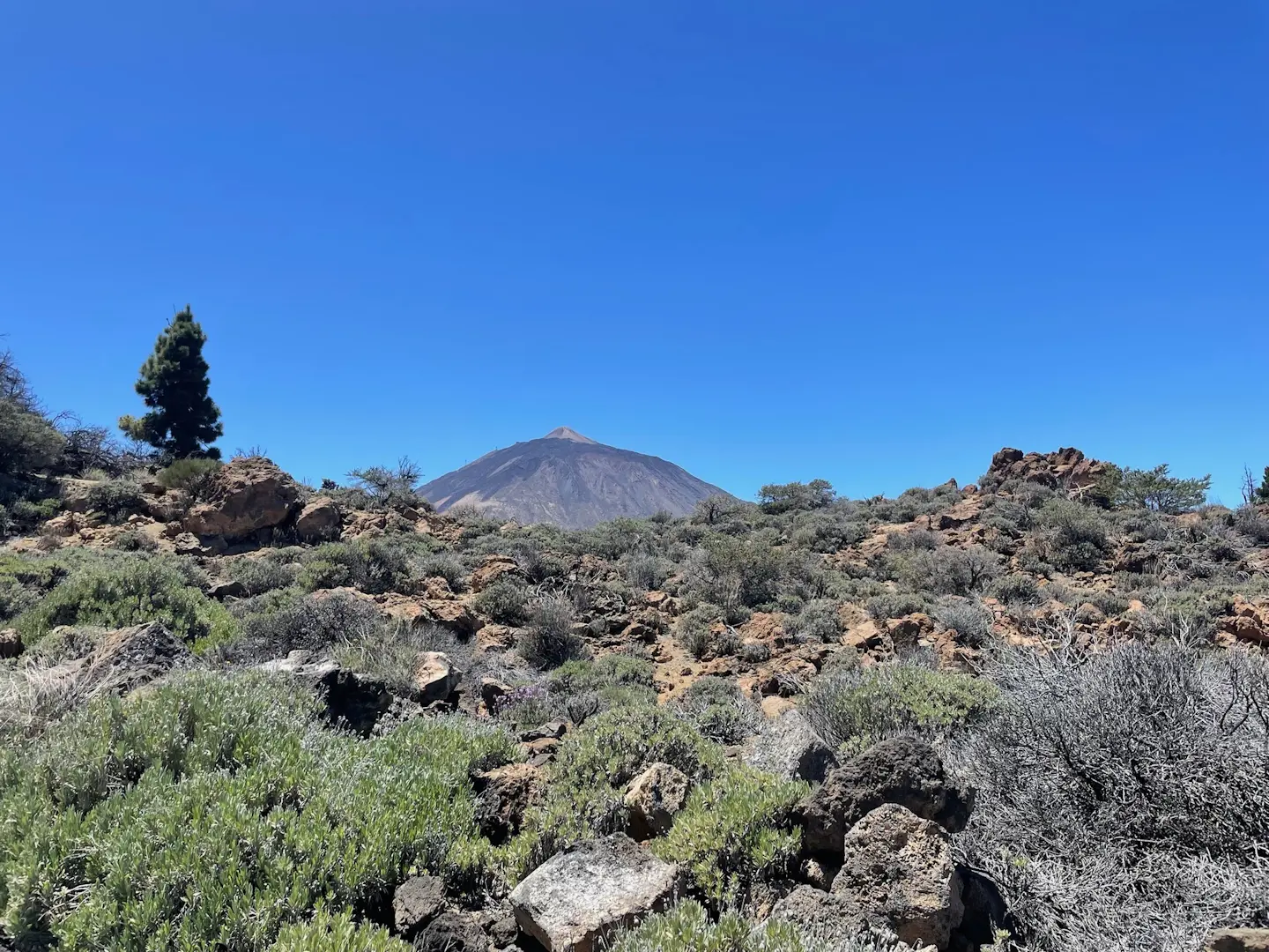 La Orotava - Park Narodowy Teide - Guía de Isora