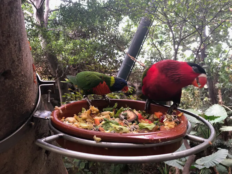 Loro Parque