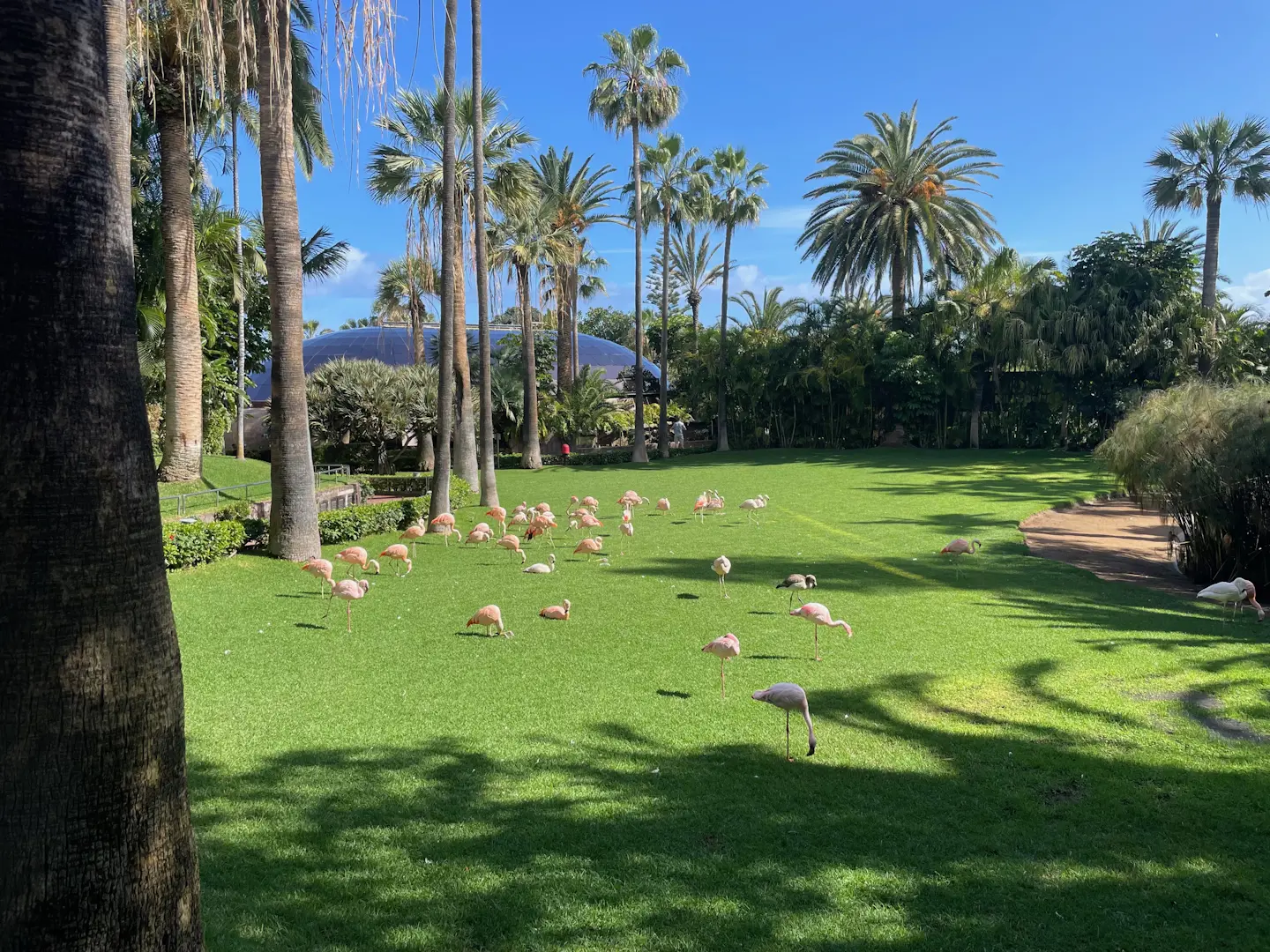 Loro Parque