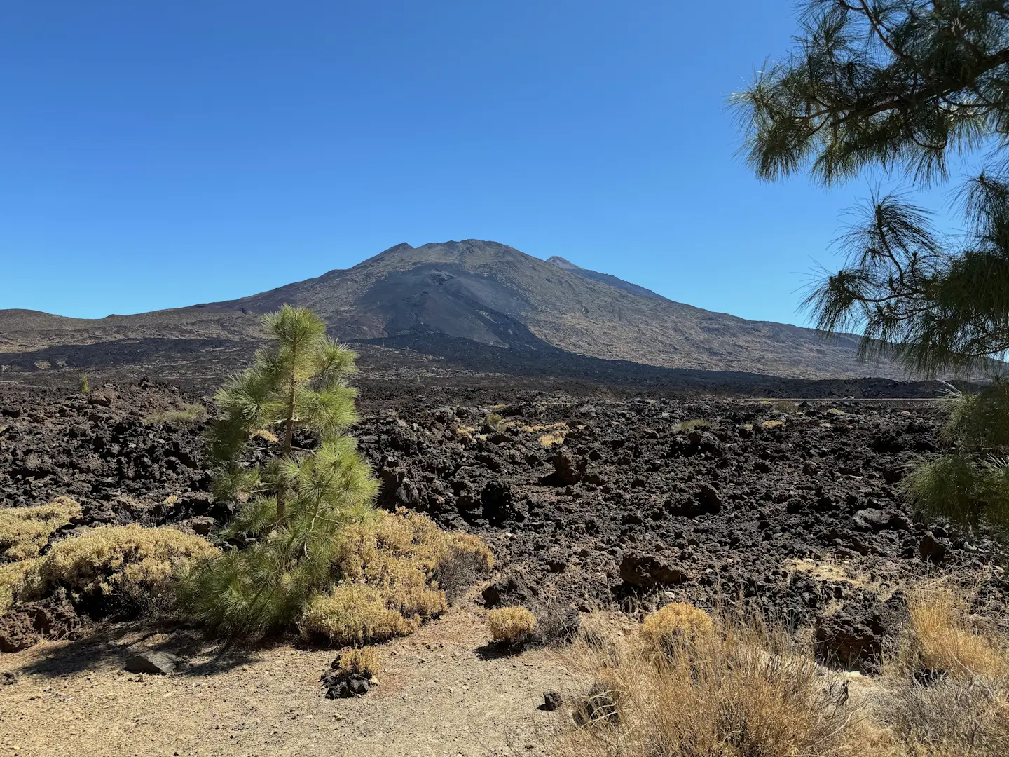 Mirador de las Narices del Teide - Torre de incendios de Chavao - Mirador de las Narices del Teide