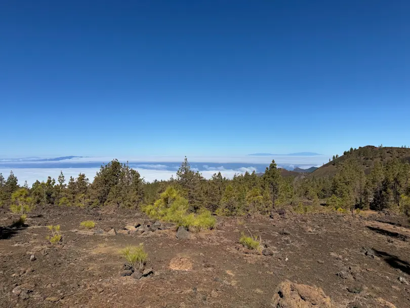 Mirador de Samara