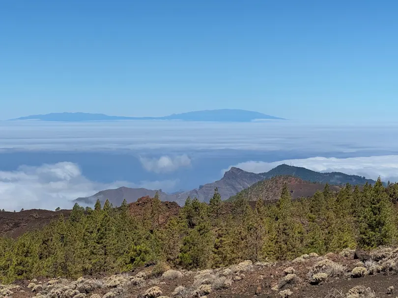 La Palma