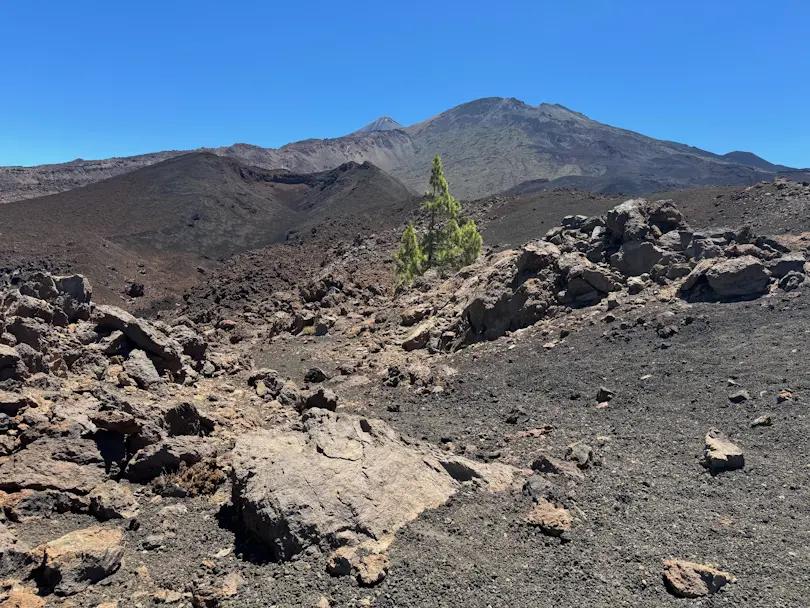 El Teide i Pico Viejo