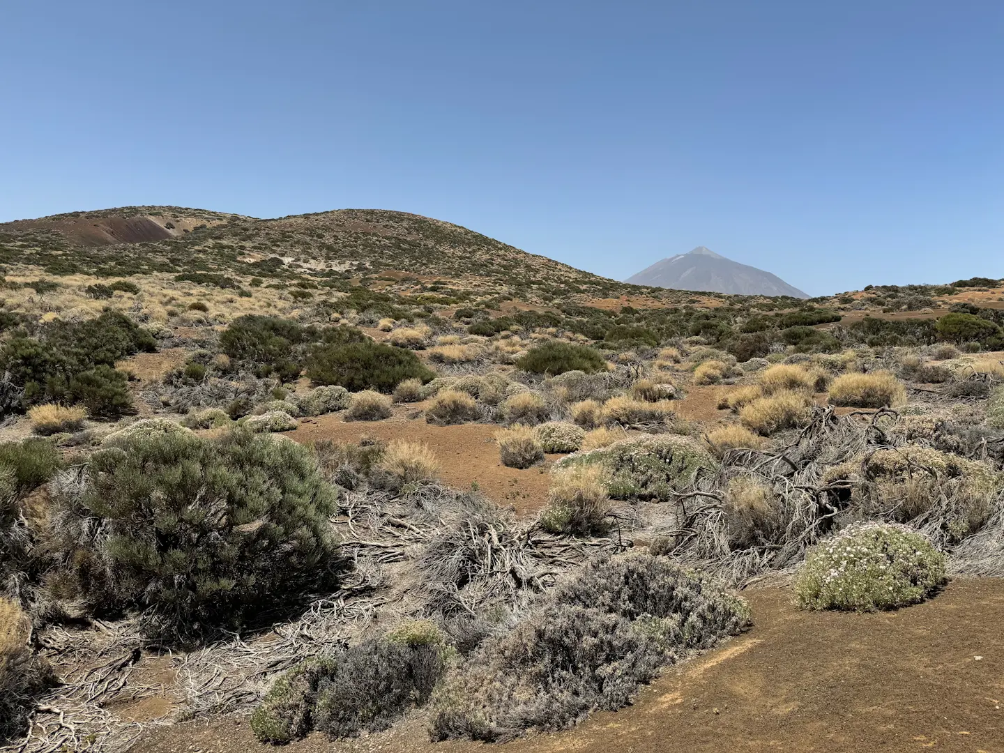 Mirador del Corral del Niño - Volcán de Fasnia - Mirador del Corral del Niño