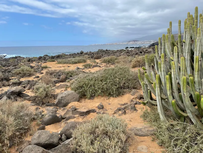 Los Cristianos