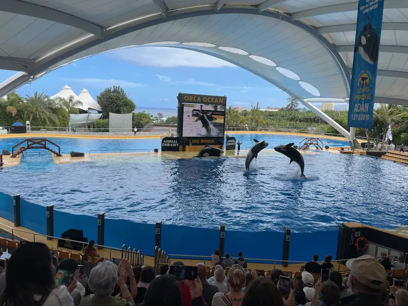 Loro Parque