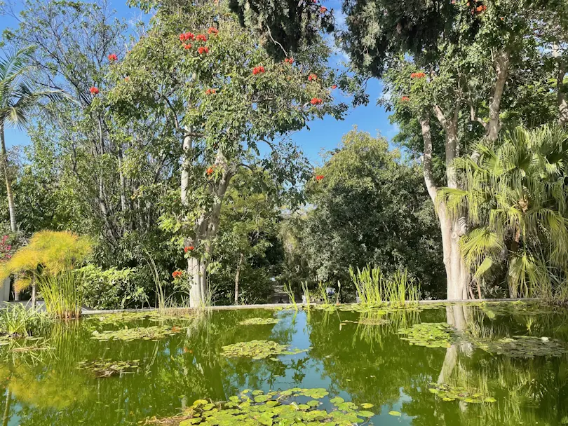 Jardín Botánico