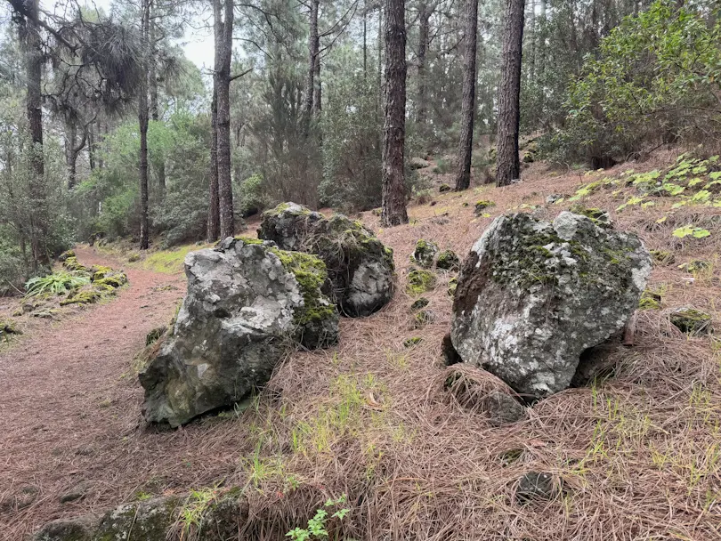 Początek szlaku