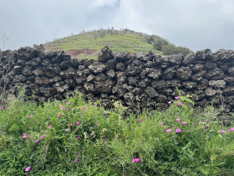 Powrót do San José de Los Llanos