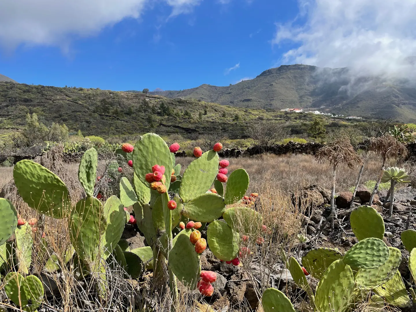 Santiago del Teide - Los Gigantes