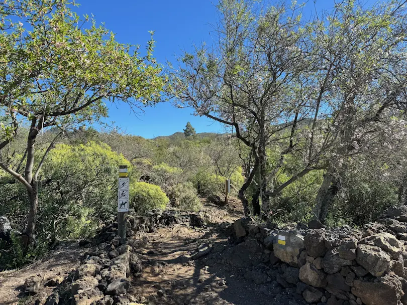 Santiago del Teide