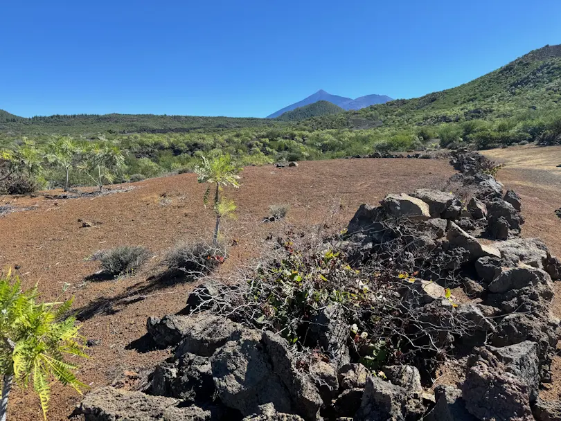 Wulkan El Teide