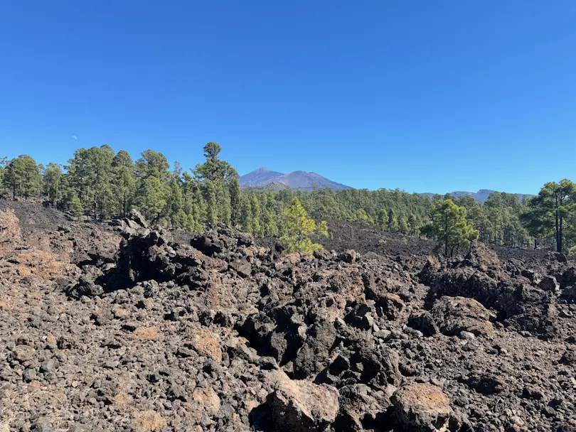 Wulkan El Teide