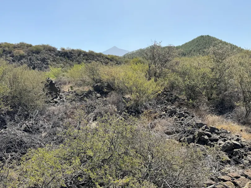 El Teide