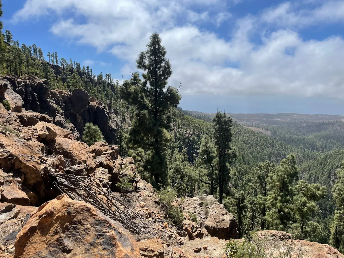 Vilaflor - Montaña de la Vica - Vilaflor